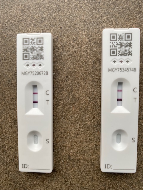 Covid Test