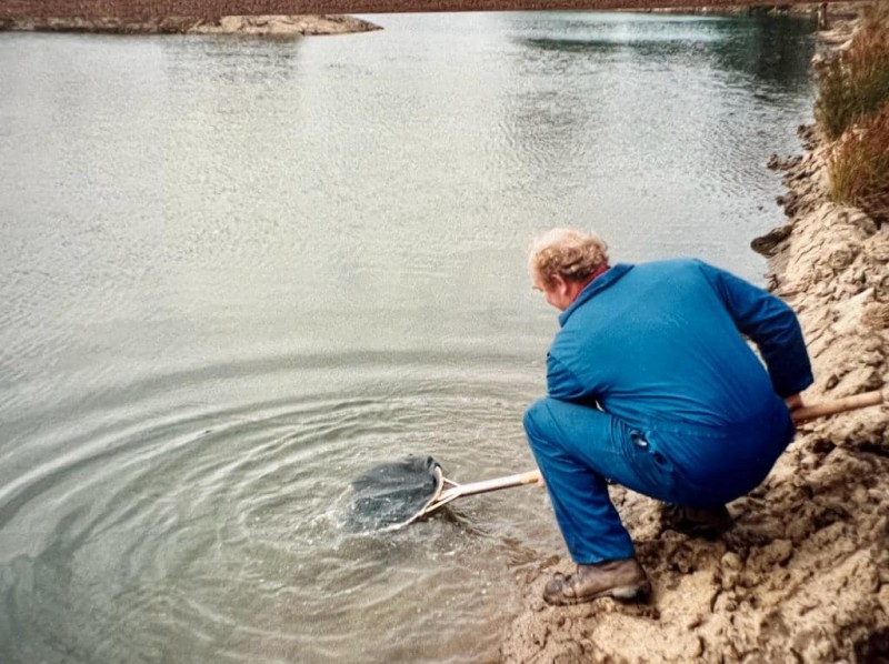 Dave putting trout in lake