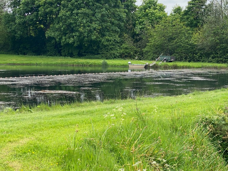 Weed cut & nets in place